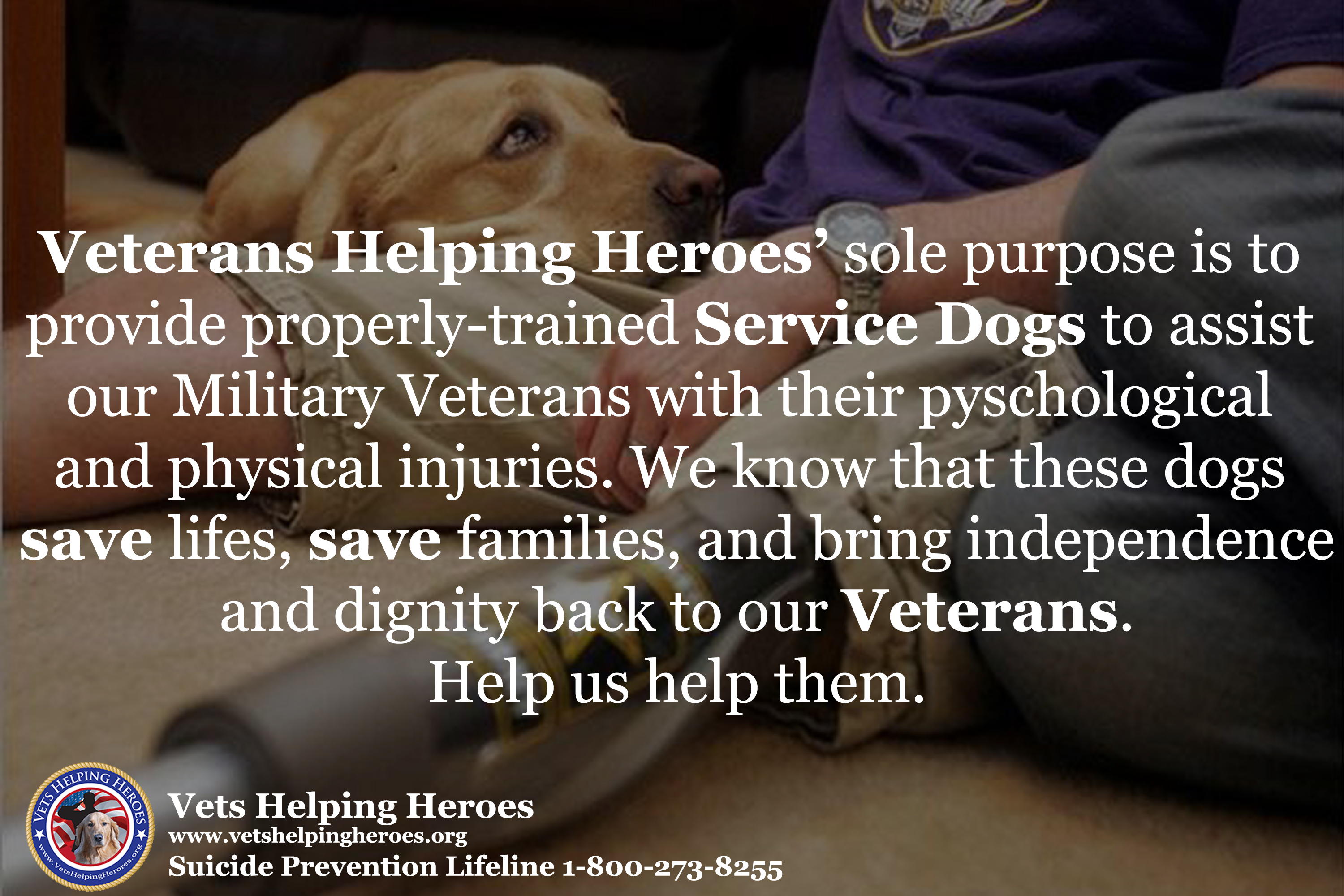 vets1 Vets Helping Heroes